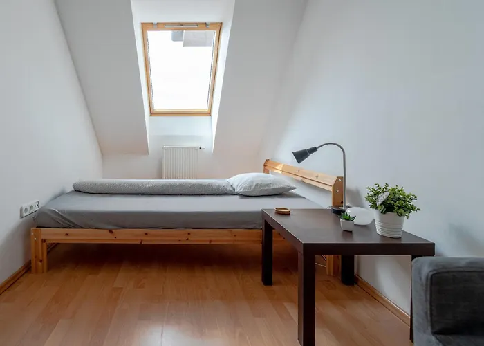 Viola * בודפשט