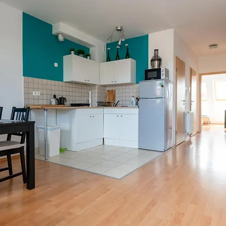 Viola ブダペスト