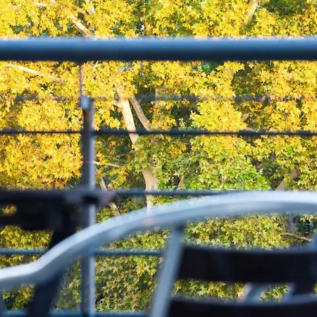 Daire Viola Budapeşte